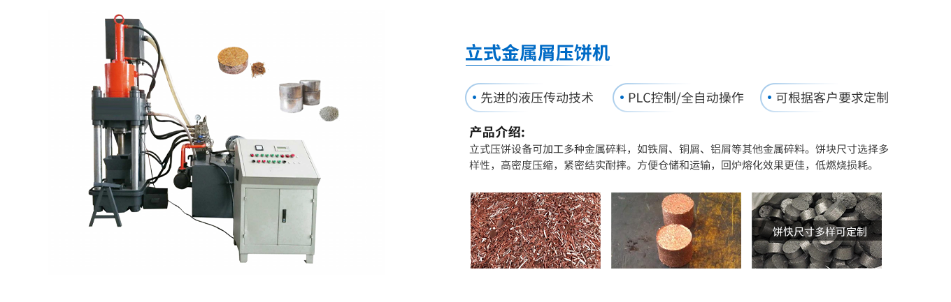 立式压饼机